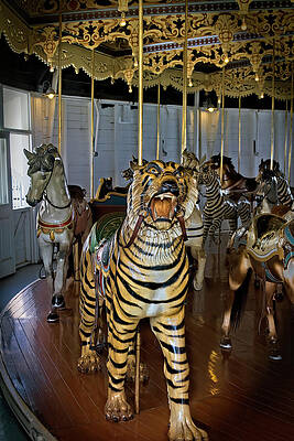 Cry of the Tiger by Alana Thrower Cry of the Tiger by Alana Thrower
