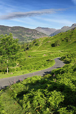 Cumbrian Peaks from Red Bank side road Elterwater looking to Har by Reimar Gaertner Cumbrian Peaks from Red Bank side road Elterwater looking to Har by Reimar Gaertner