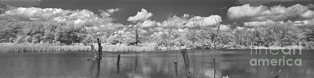 Cumulus Clouds Panoramic IR by Martin Konopacki Cumulus Clouds Panoramic IR by Martin Konopacki