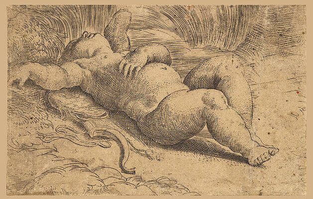 Cupid Sleeping Print by Parmigianino