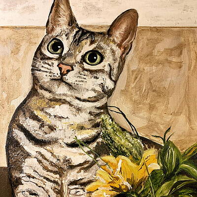 Curious by Lynn Shaffer Curious by Lynn Shaffer