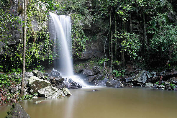 Curtis Falls by Nicholas Blackwell Curtis Falls by Nicholas Blackwell