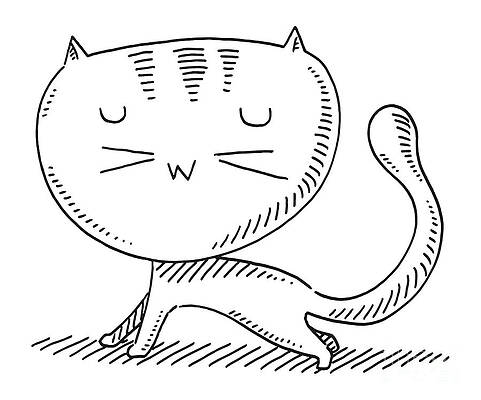 Cartoon Cat Drawings - Fine Art America