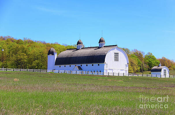 D. H. Day Farm in Spring by Rachel Cohen D. H. Day Farm in Spring by Rachel Cohen