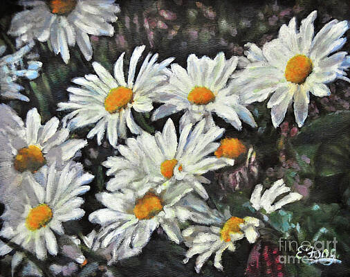 Daisies in garden by Eileen Fong Daisies in garden by Eileen Fong