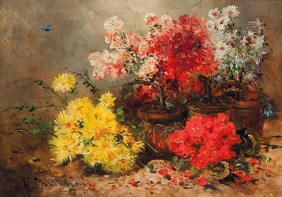 Daisies, marigolds, geraniums and other summer blooms Print by Eugene Henri Cauchois