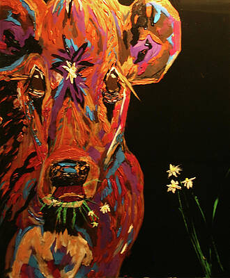 DAisy by Marilyn Quigley DAisy by Marilyn Quigley
