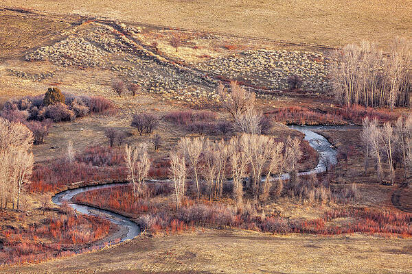 Dallas Creek Curves by Denise Bush Dallas Creek Curves by Denise Bush