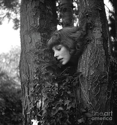 Wall Art - Photograph - Dancer Tilly Losch's Head Protruding from a Tree by Cecil Beaton