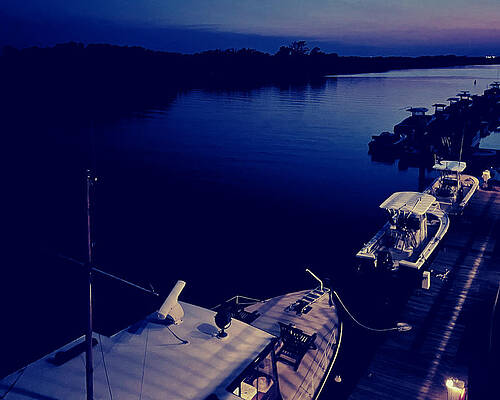 Dark on the Dock by Lee Darnell Dark on the Dock by Lee Darnell
