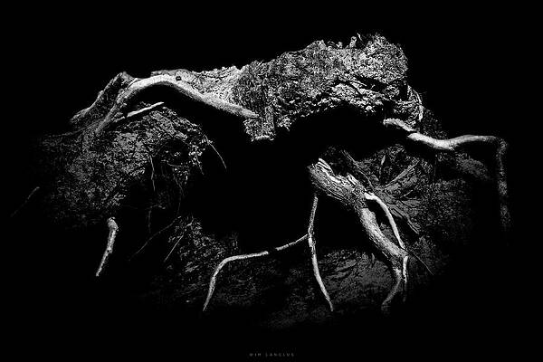 Dark by Wim Lanclus Dark by Wim Lanclus