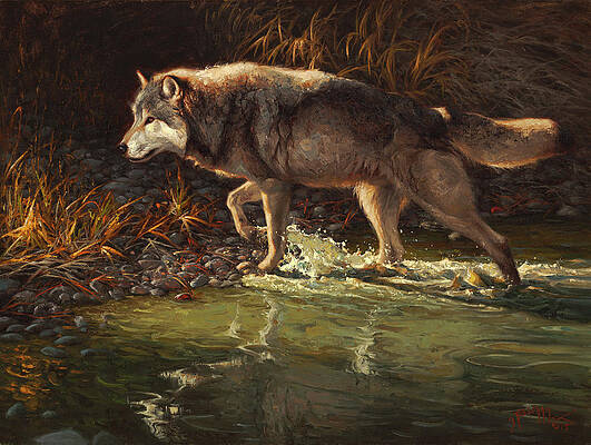 Wolf Paintings for Sale (Page #2 of 35) - Fine Art America