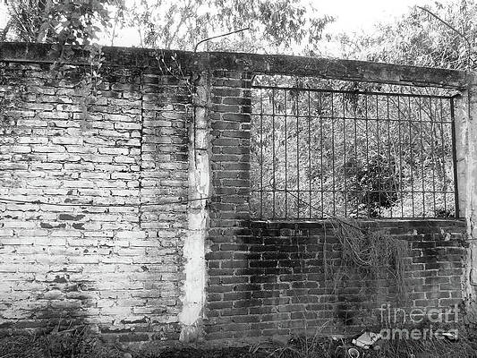 Days Gone By by Rosanne Licciardi Days Gone By by Rosanne Licciardi