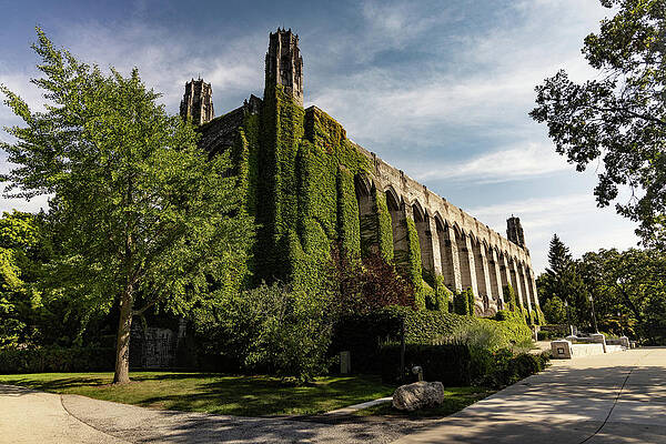 Wall Art - Photograph - Deering Library at Northwestern University by Eldon McGraw