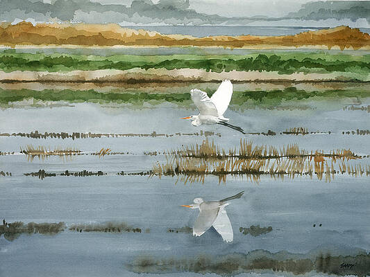 Central Valley Paintings Page 3 Of 3 Fine Art America