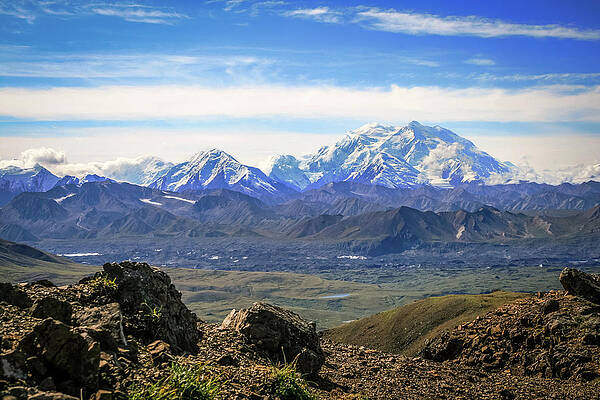 Wall Art - Photograph - Denali View by Diane Moller
