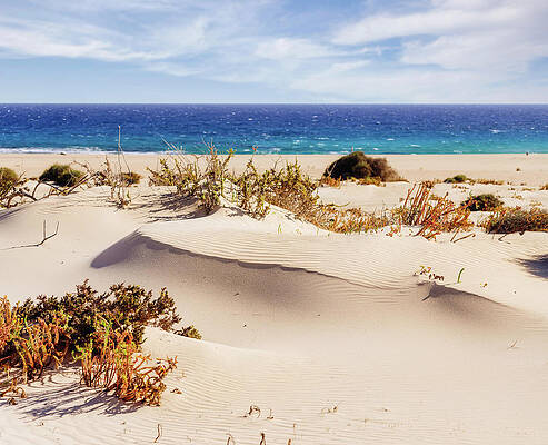 Desert by the Sea by Francesco Riccardo Iacomino Desert by the Sea by Francesco Riccardo Iacomino