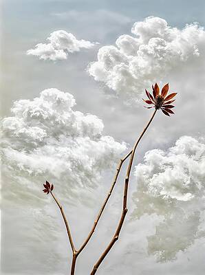 Minimalist Digital Art - Dialogue Between Earth And Sky by Samuel HUYNH