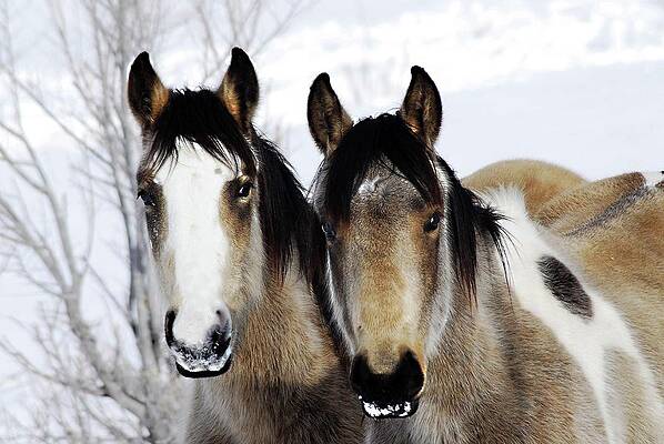 Different But The Same by David Clark