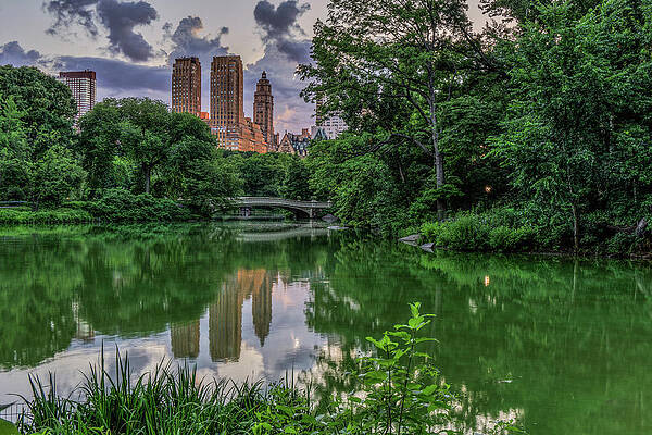 Discover The Forest by David R Robinson Discover The Forest by David R Robinson