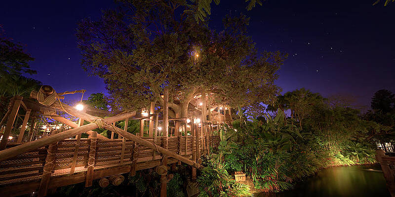 Wall Art - Photograph - Disney's Swiss Family Treehouse Night Panorama by Mark Andrew Thomas
