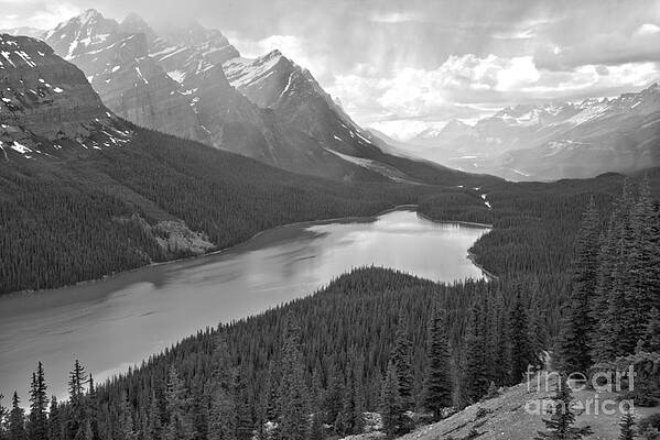 Wall Art - Photograph - Distant Rain Showers Over Peyto Lake Black And White by Adam Jewell