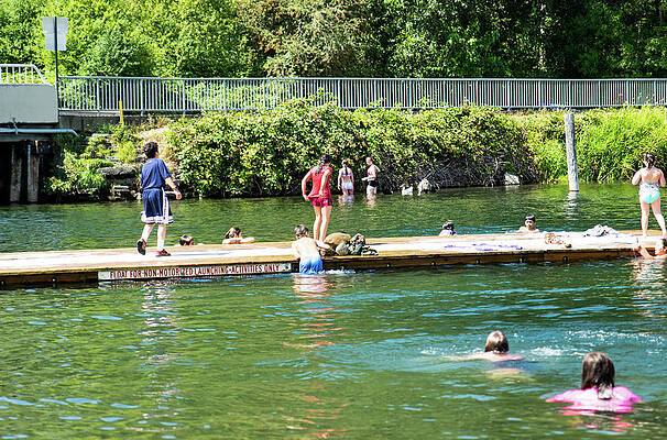 Wall Art - Photograph - Diving Platform in Lake Whatcom by Tom Cochran