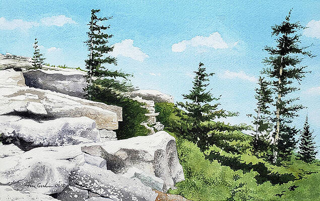 Evergreen Valley Paintings for Sale (Page #3 of 5) - Fine Art America