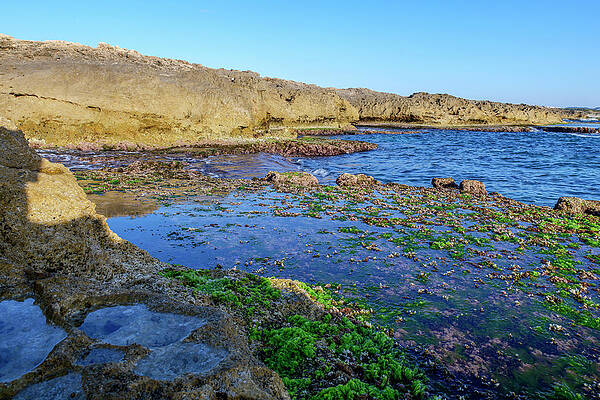 Dor-Habonim seashore reserve by Dubi Roman Dor-Habonim seashore reserve by Dubi Roman