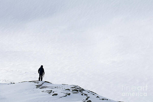 Dovrefjell in Winter by Arterra Picture Library Dovrefjell in Winter by Arterra Picture Library