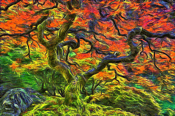 Autumn Fire Maple Photograph by EGiclee Digital Prints - Fine Art America