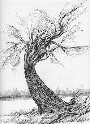 Pen And Ink Drawings (Page #27 of 35) | Fine Art America