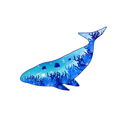 Dream Whale - Silhouette Art by Anastasiya Malakhova Dream Whale - Silhouette Art by Anastasiya Malakhova