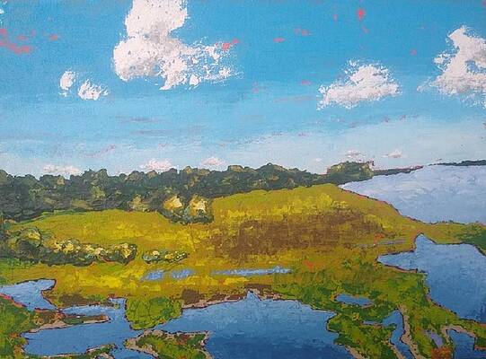South Carolina Marsh Paintings Fine Art America