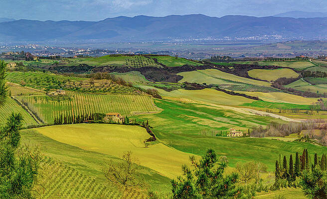 Wall Art - Photograph - Dreaming of Tuscany by Marcy Wielfaert