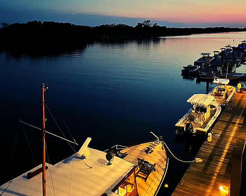 Dreaming on the Dock by Lee Darnell Dreaming on the Dock by Lee Darnell
