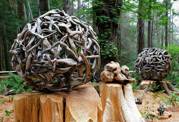 Driftwood Sculpture by Bob Christopher Driftwood Sculpture by Bob Christopher