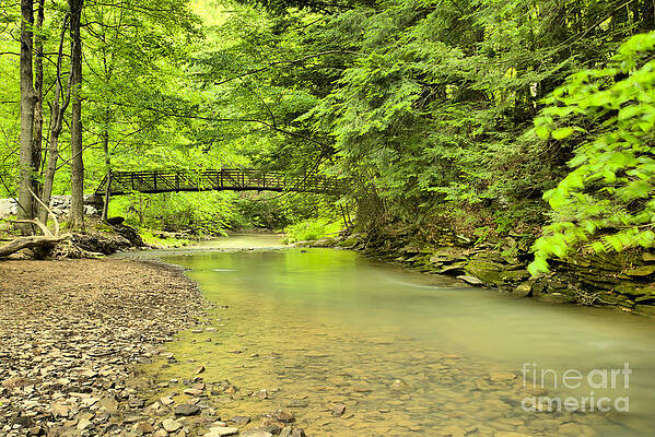 Duff Park Stream Under The Bridge by Adam Jewell Duff Park Stream Under The Bridge by Adam Jewell