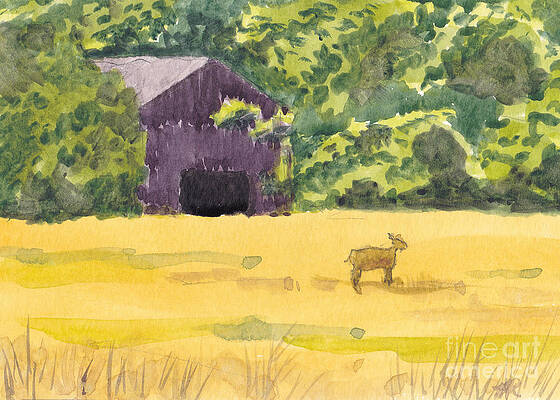Duke's Field by Mike Robinson Duke's Field by Mike Robinson