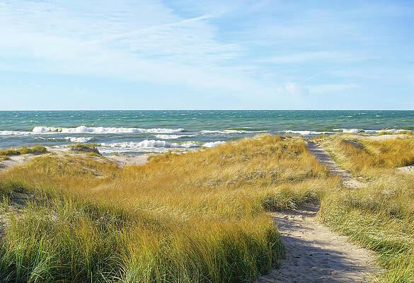 Dune Trails to the Beach by Kathi Mirto Dune Trails to the Beach by Kathi Mirto