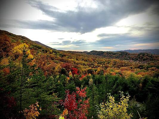 Dusk on Autumn leaves by Micky Roberts Dusk on Autumn leaves by Micky Roberts