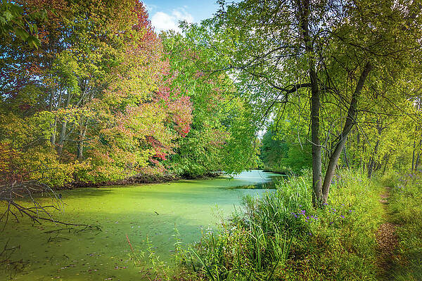Early Autumn Colors by June Marie Sobrito Early Autumn Colors by June Marie Sobrito