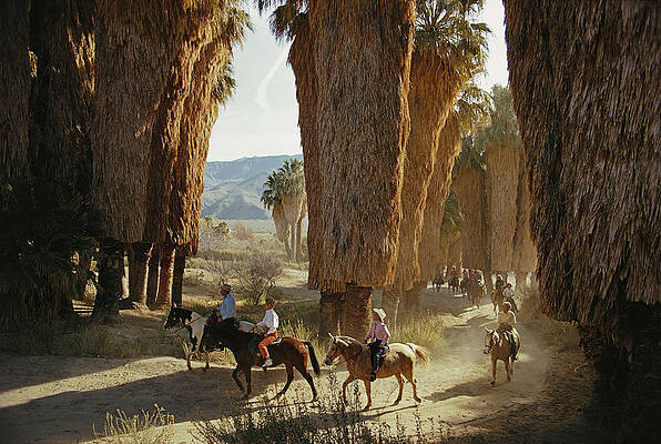 Wall Art - Photograph - Early Riders by Slim Aarons
