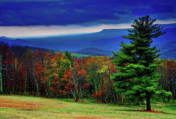 Early spring in the Blue Ridge by Bill Jonscher Early spring in the Blue Ridge by Bill Jonscher