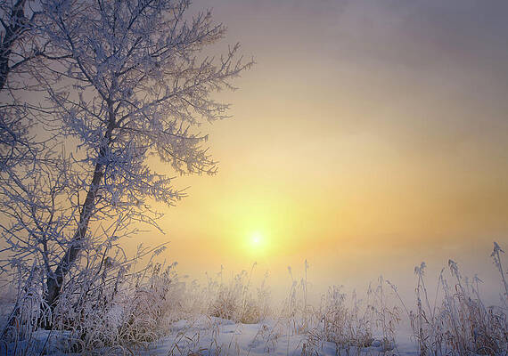 Early spring or late winter? by Dan Jurak Early spring or late winter? by Dan Jurak