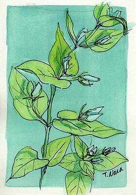 Early Spring by Tammy Nara Early Spring by Tammy Nara