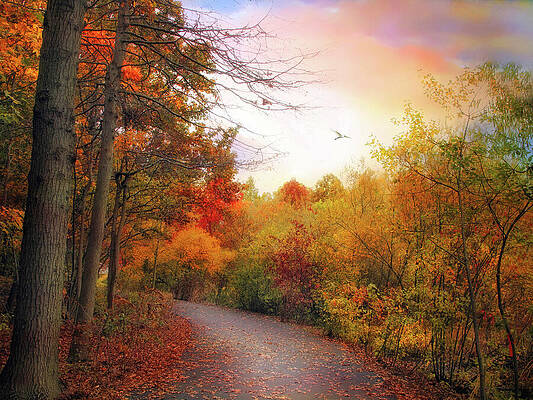 Wall Art - Photograph - Early to Rise by Jessica Jenney