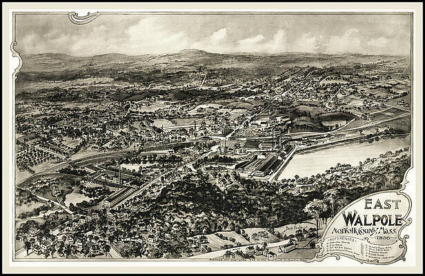 Wall Art - Drawing - East Walpole Massachusetts Vintage Map Birds Eye View 1898  by Carol Japp
