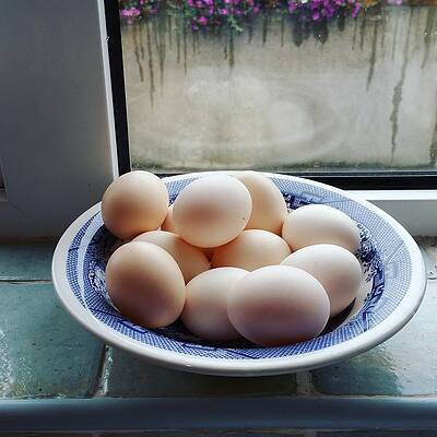 Eggs  by Dave Ben Baxter