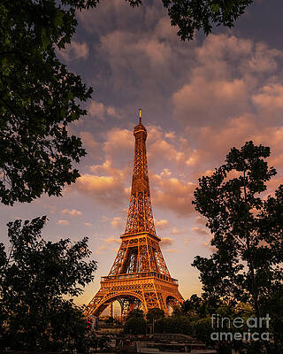 Eiffel Tower Frame Tree Sunset by Thomas Speck Eiffel Tower Frame Tree Sunset by Thomas Speck